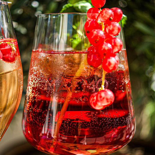 Bio-Aperitivo Berry