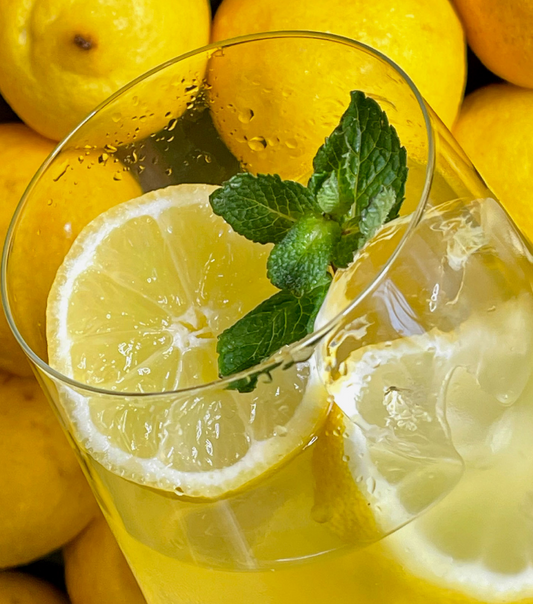 Bio-Aperitivo Limoncello