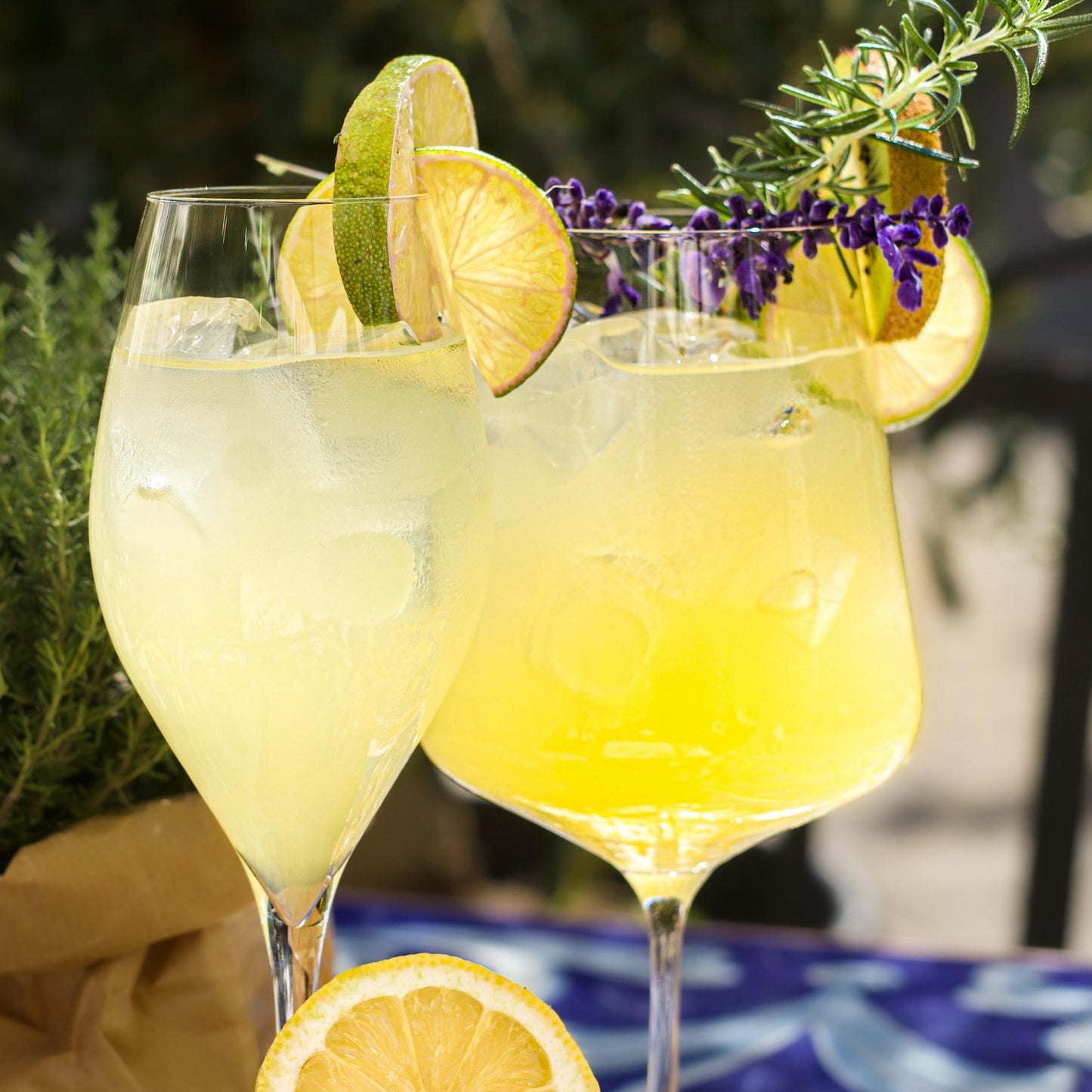 Bio-Aperitivo Limoncello